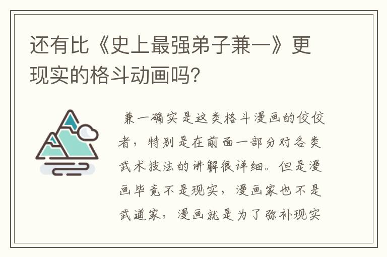 还有比《史上最强弟子兼一》更现实的格斗动画吗?