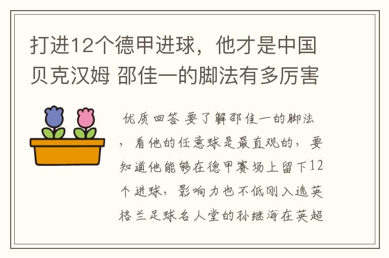 打进12个德甲进球,他才是中国贝克汉姆 邵佳一的脚法有多厉害