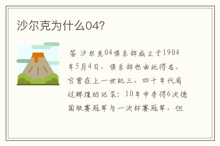 沙尔克为什么04?