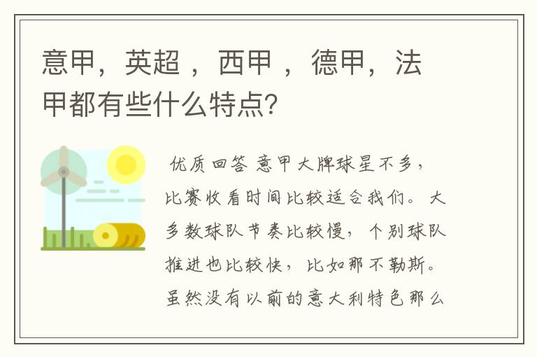意甲,英超 ,西甲 ,德甲,法甲都有些什么特点?