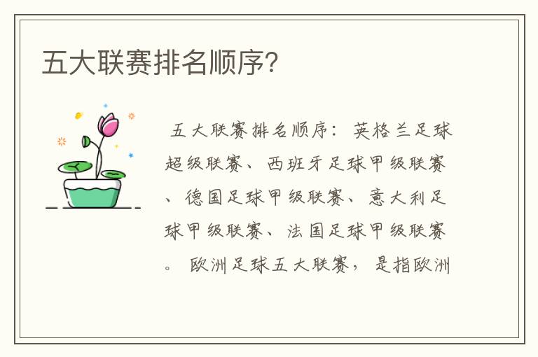 五大联赛排名顺序?
