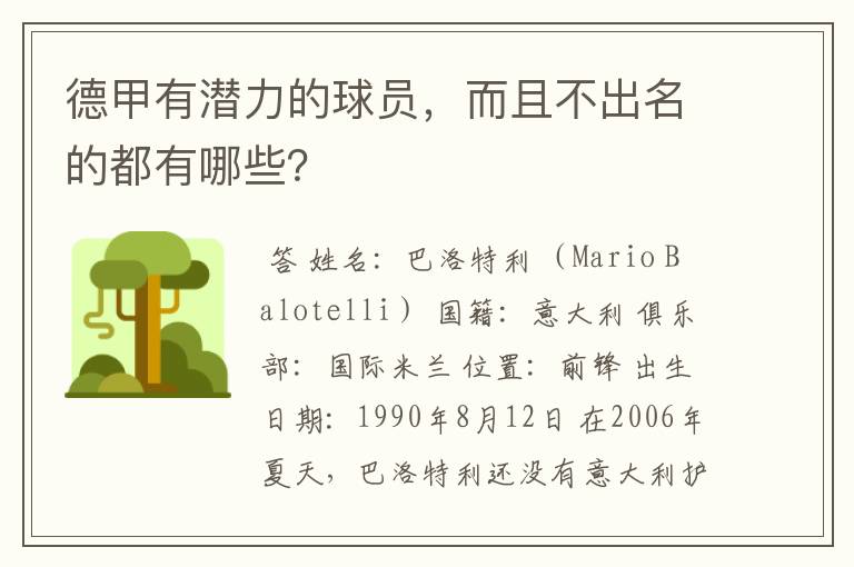 德甲有潜力的球员,而且不出名的都有哪些?