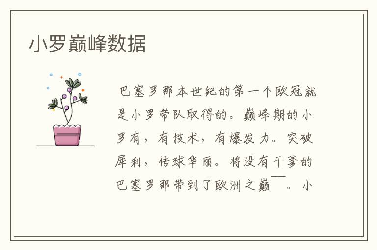 小罗巅峰数据