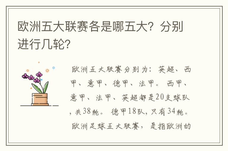 欧洲五大联赛各是哪五大?分别进行几轮?