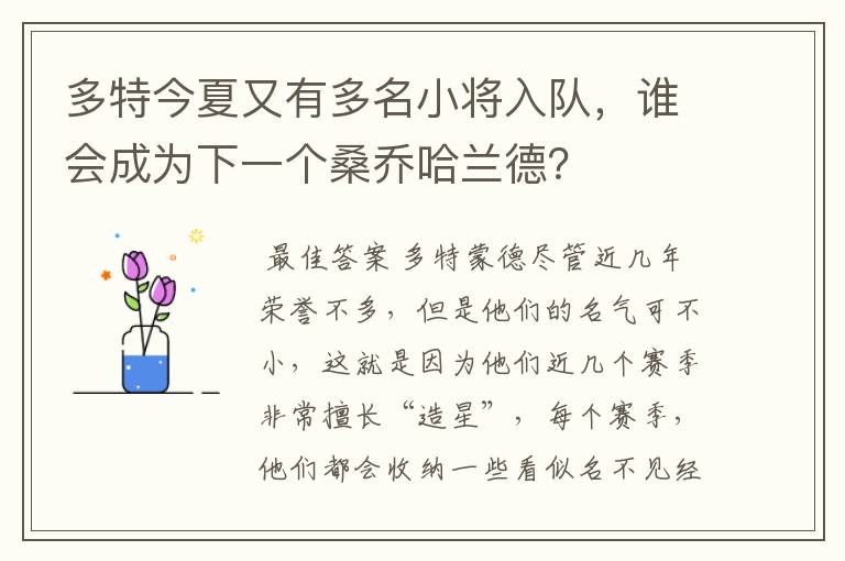 多特今夏又有多名小将入队,谁会成为下一个桑乔哈兰德?