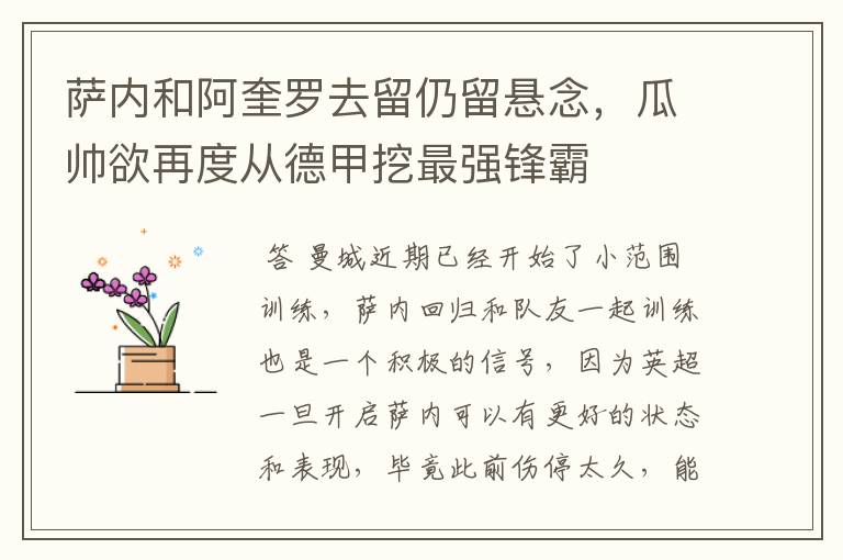 萨内和阿奎罗去留仍留悬念,瓜帅欲再度从德甲挖最强锋霸