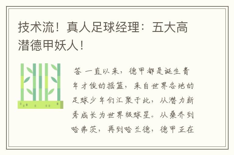 技术流!真人足球经理:五大高潜德甲妖人!