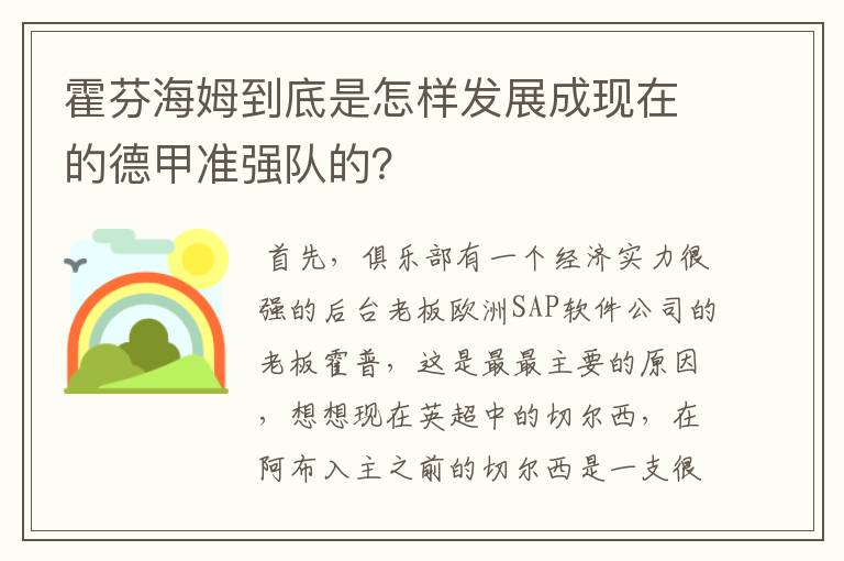 霍芬海姆到底是怎样发展成现在的德甲准强队的?