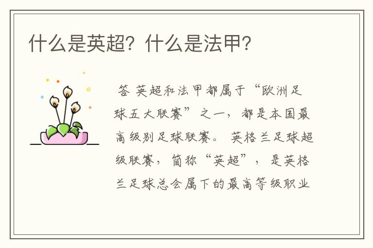 什么是英超?什么是法甲?