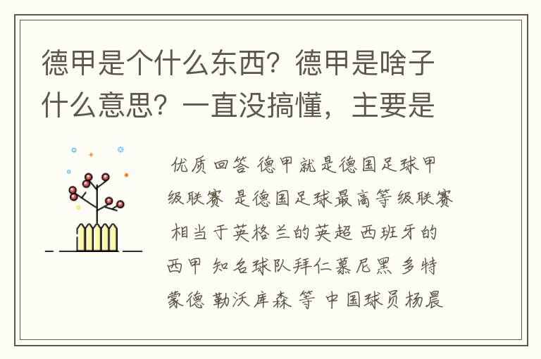 德甲是个什么东西?德甲是啥子什么意思?一直没搞懂,主要是我平时基本不看德甲呀,足球什么的。?推荐一下