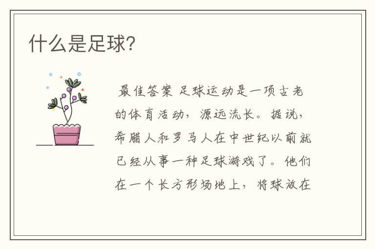 什么是足球?