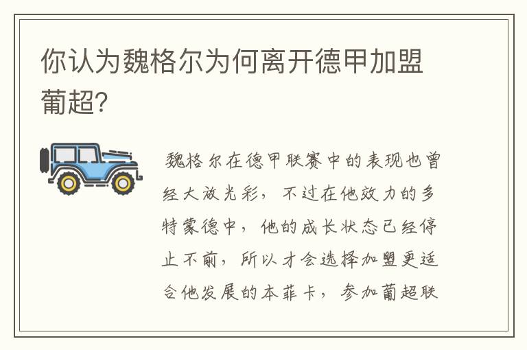你认为魏格尔为何离开德甲加盟葡超?