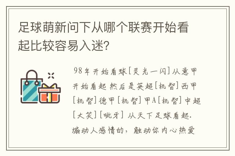 足球萌新问下从哪个联赛开始看起比较容易入迷?
