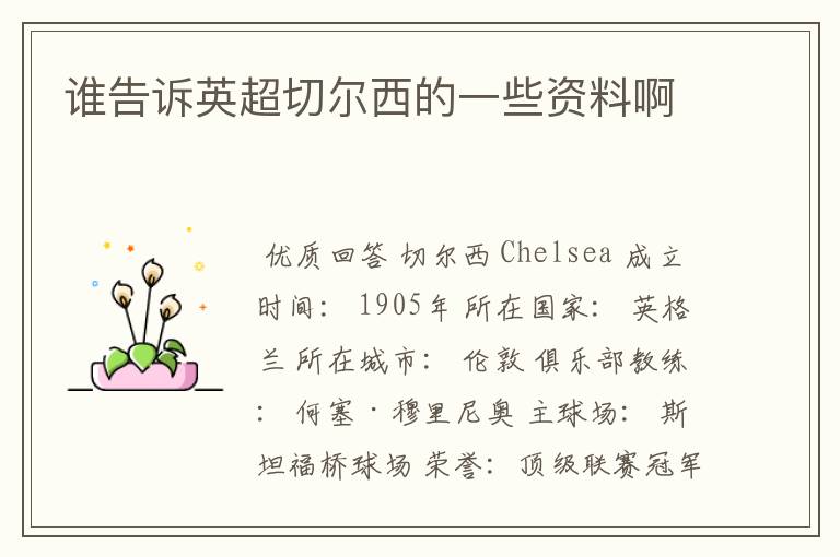 谁告诉英超切尔西的一些资料啊