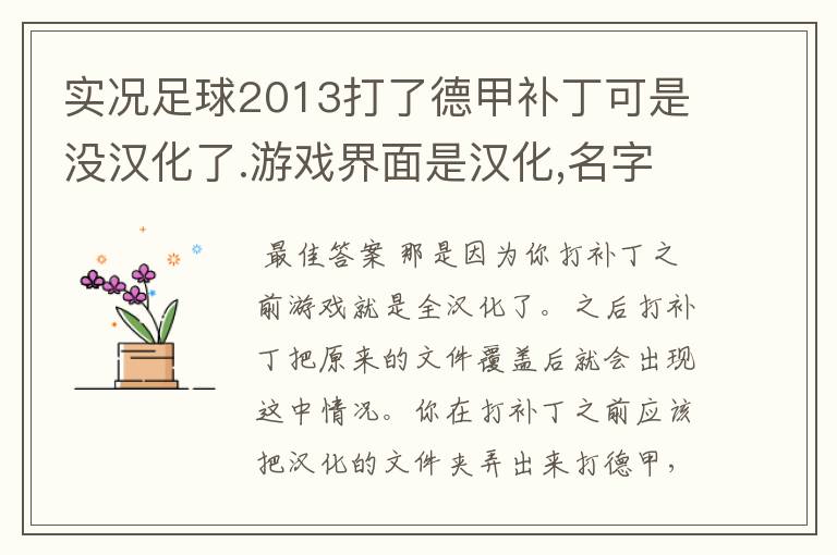 实况足球2013打了德甲补丁可是没汉化了.游戏界面是汉化,名字没有汉化.而且球队对标全乱了