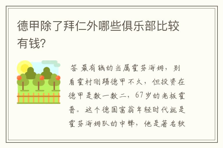 德甲除了拜仁外哪些俱乐部比较有钱?