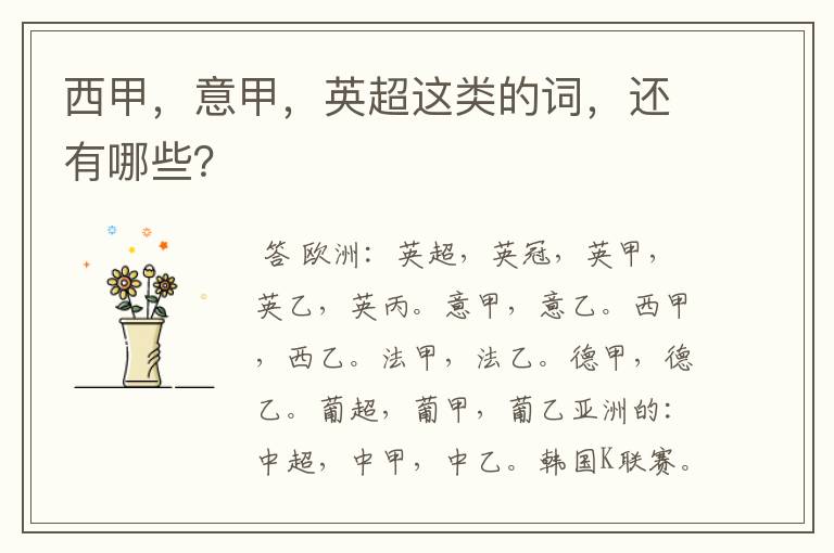 西甲,意甲,英超这类的词,还有哪些?