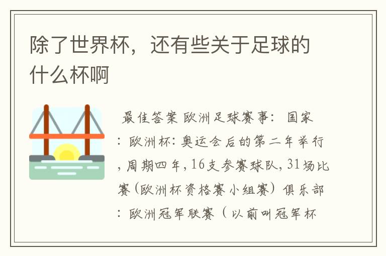 除了世界杯,还有些关于足球的什么杯啊