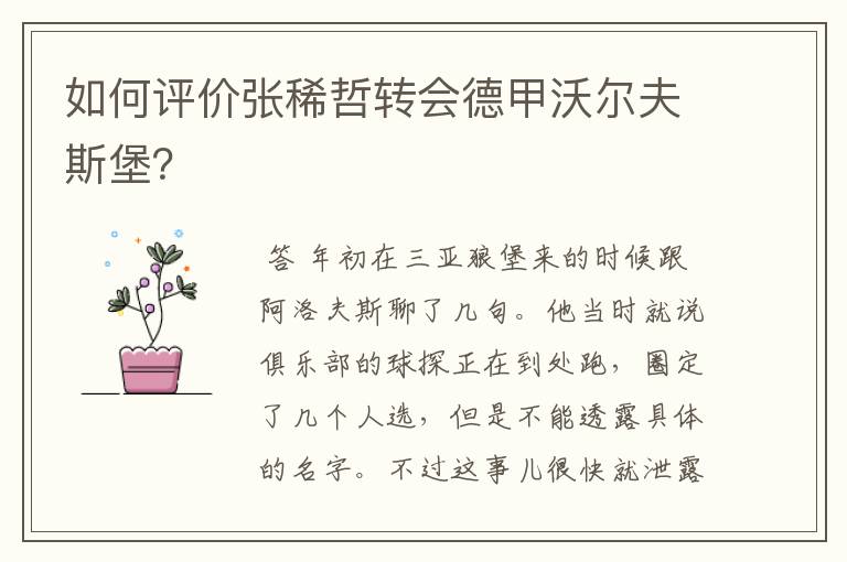 如何评价张稀哲转会德甲沃尔夫斯堡?