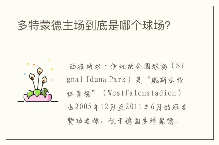 多特蒙德主场到底是哪个球场?