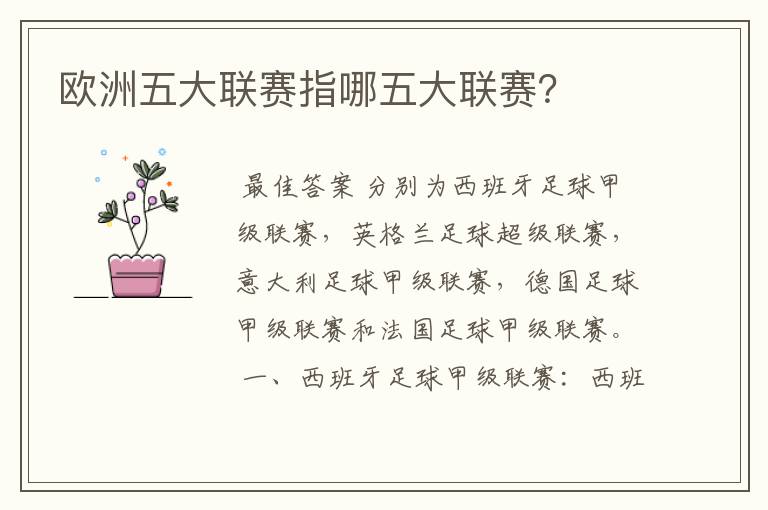 欧洲五大联赛指哪五大联赛?