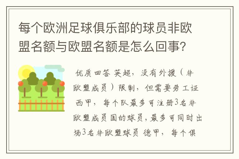 每个欧洲足球俱乐部的球员非欧盟名额与欧盟名额是怎么回事?