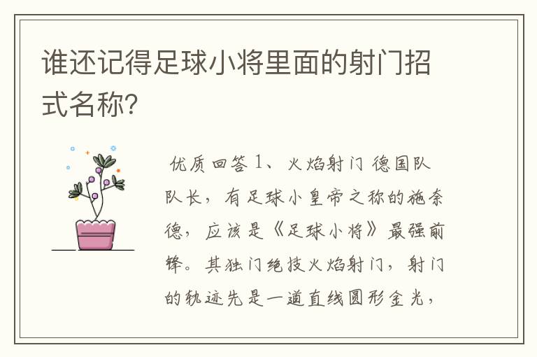 谁还记得足球小将里面的射门招式名称？