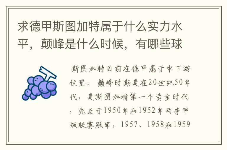 求德甲斯图加特属于什么实力水平,颠峰是什么时候,有哪些球星和走出有哪些球星