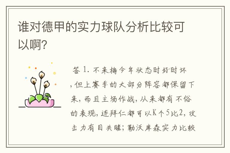 谁对德甲的实力球队分析比较可以啊?