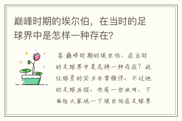 巅峰时期的埃尔伯,在当时的足球界中是怎样一种存在?