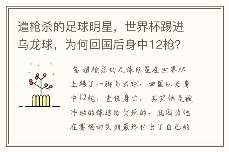 遭枪杀的足球明星,世界杯踢进乌龙球,为何回国后身中12枪?