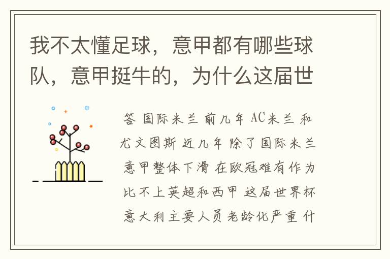 我不太懂足球，意甲都有哪些球队，意甲挺牛的，为什么这届世界杯意大利踢得不好