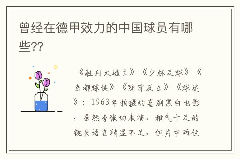 曾经在德甲效力的中国球员有哪些??