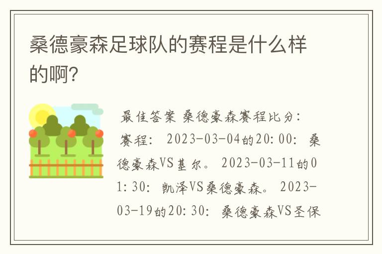 桑德豪森足球队的赛程是什么样的啊?