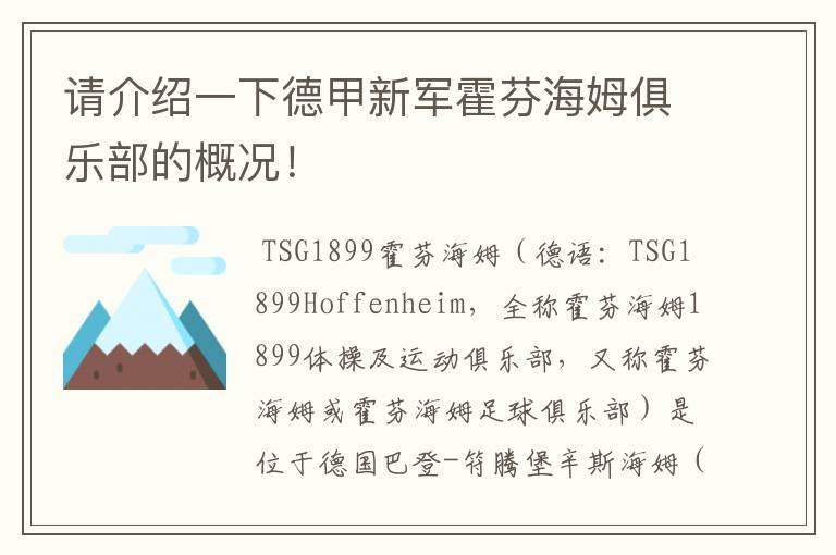 请介绍一下德甲新军霍芬海姆俱乐部的概况!