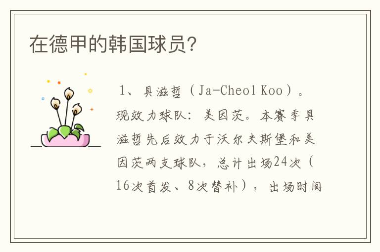 在德甲的韩国球员?