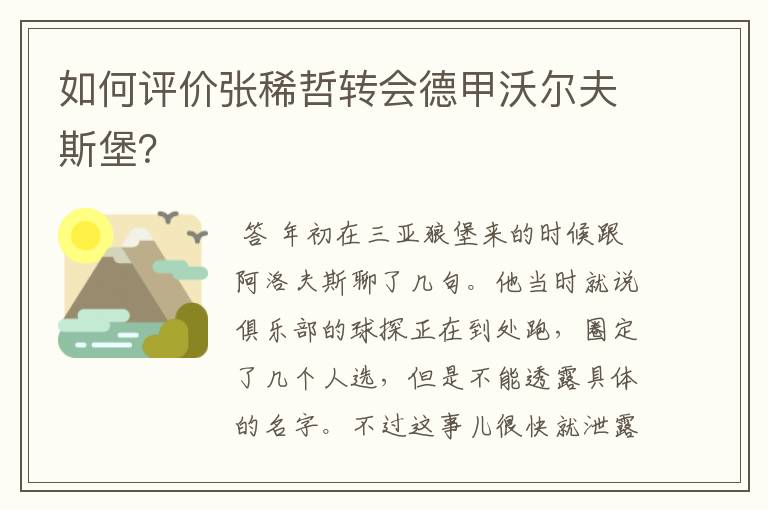 如何评价张稀哲转会德甲沃尔夫斯堡?