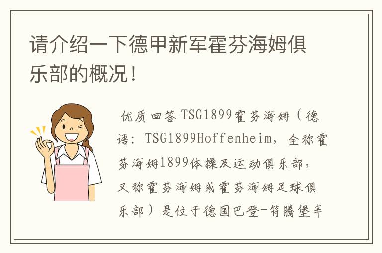 请介绍一下德甲新军霍芬海姆俱乐部的概况!