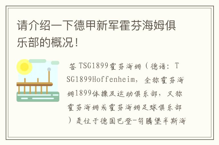 请介绍一下德甲新军霍芬海姆俱乐部的概况!
