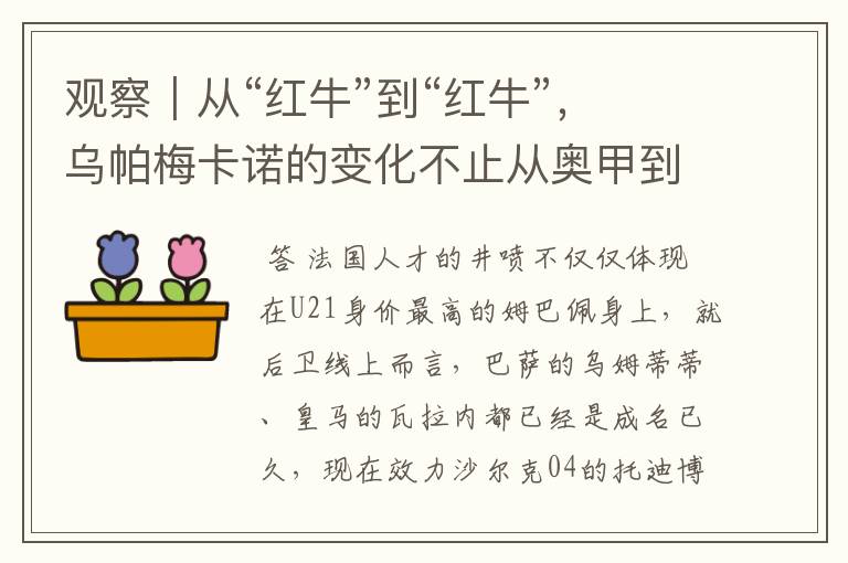 观察|从“红牛”到“红牛”,乌帕梅卡诺的变化不止从奥甲到德甲