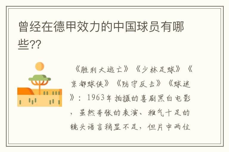 曾经在德甲效力的中国球员有哪些??