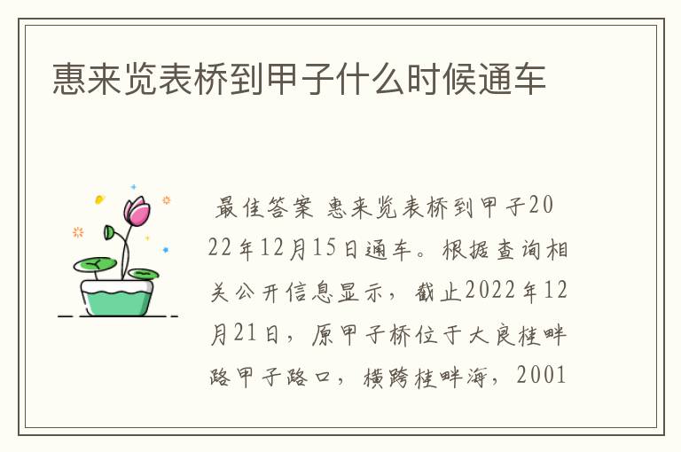 惠来览表桥到甲子什么时候通车