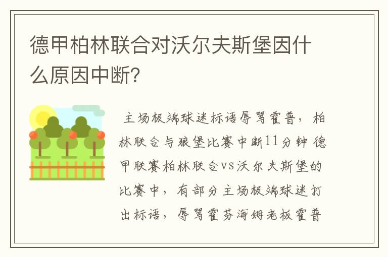 德甲柏林联合对沃尔夫斯堡因什么原因中断?