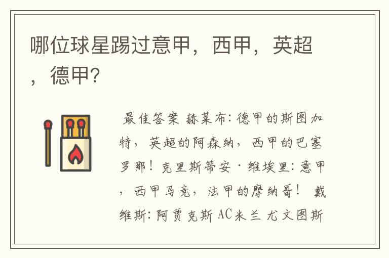 哪位球星踢过意甲,西甲,英超,德甲?