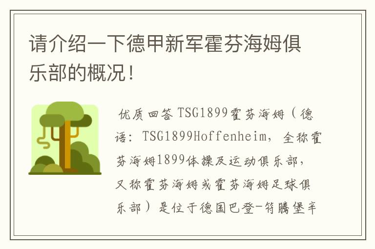 请介绍一下德甲新军霍芬海姆俱乐部的概况!