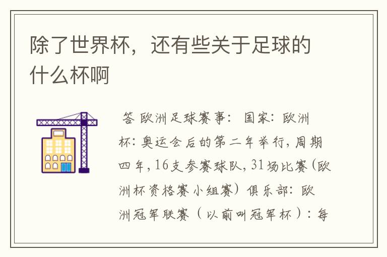 除了世界杯,还有些关于足球的什么杯啊