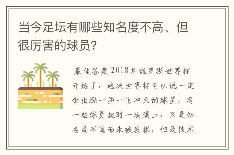 当今足坛有哪些知名度不高、但很厉害的球员?