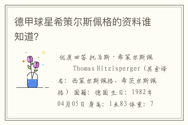 德甲球星希策尔斯佩格的资料谁知道?