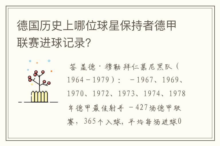 德国历史上哪位球星保持者德甲联赛进球记录?