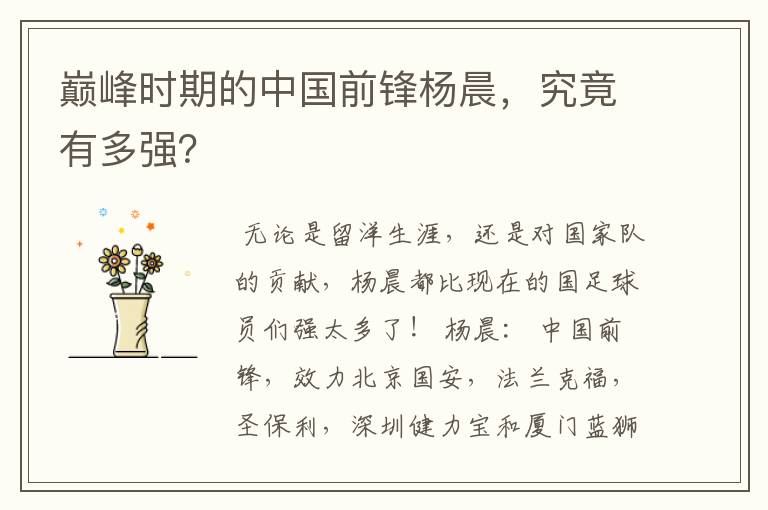 巅峰时期的中国前锋杨晨,究竟有多强?